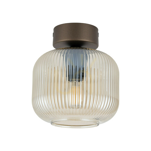 Verifica Lampa de tavan Salvia Brown, 1 Xe14