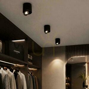 Spot de perete înclinabil cu LED CREE V-TAC, 12 W, CRI 90+, CCT, IP44, alb, VT-110012CCT, 800 lm, garanție de 6 ani small 5