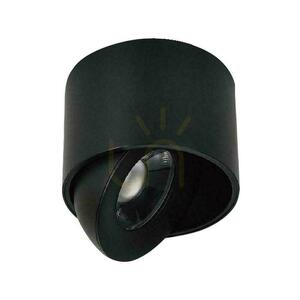 Spot de perete înclinabil cu LED CREE V-TAC, 12 W, CRI 90+, CCT, IP44, alb, VT-110012CCT, 800 lm, garanție de 6 ani small 0