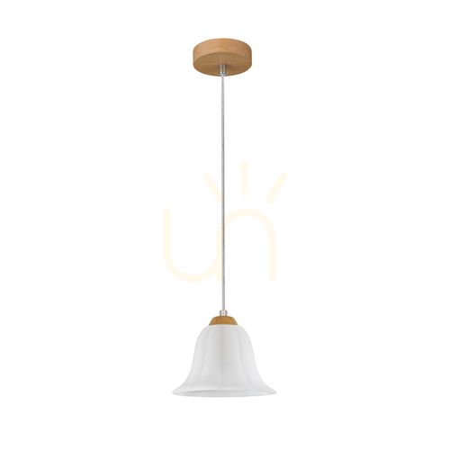 Verifica Lampa suspendată Anna, 1xE27, Max. 60 W, stejar uleiat / cablu din PVC transparent / abajur din sticlă albă, Ø 17,5 cm
