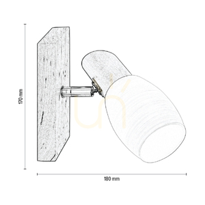 Aplică Birgit 1xE14 Max. 40 W, mesteacăn/metal cromat/abajur din sticlă albă, 18 cm small 2