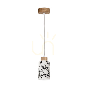 Lampa suspendată Bosco, 1xE27, Max. 60 W, stejar uleiat/antracit, cablu împletit/alb-negru, abajur din sticlă Ø 10 cm small 0