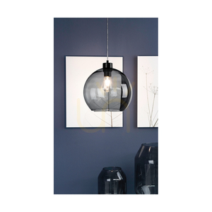 Lampa suspendată Canberra, 1xE27, Max. 60 W, metal negru/cablu din PVC transparent/abat-jour din sticlă fumurie, Ø 30 cm small 2