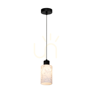 Lampa suspendată Flores, 1xE27, Max. 60 W, metal negru / cablu din PVC transparent / abajur din sticlă albă cu motiv floral, Ø 10 cm small 1