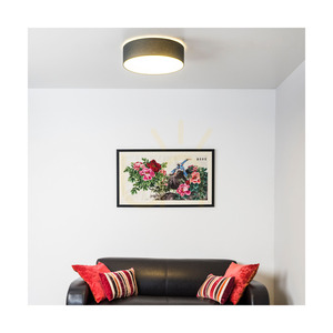 Plafonieră LED Spot Light Josefina 4782802, antracit/alb, Ø28 cm, 13 W, 2700 K small 1