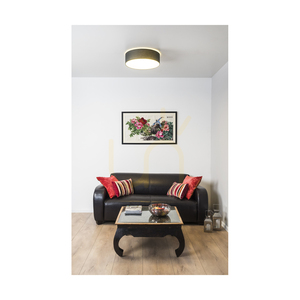 Plafonieră LED Spot Light Josefina 4783802 antracit/alb Ø38 cm 18 W 2700 K small 1