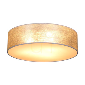Lampa de tavan Nevoa, 4xE27, Max. 25 W, metal alb/argintiu, abajur cu diametrul de 48 cm small 1
