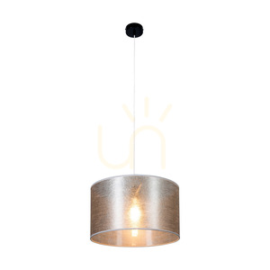 Lampa suspendată Nevoa, 1xE27, Max. 60 W, metal negru/cablu din PVC transparent/abat-jour argintiu, Ø 40 cm small 1