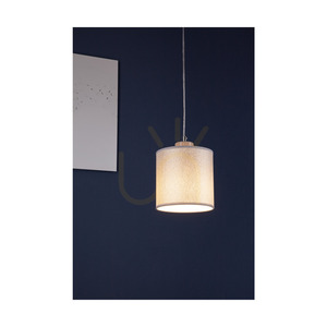 Lampa suspendată Prata, 1xE27, Max. 25 W, metal gri / cablu din PVC transparent / abajur argintiu, Ø 15 cm small 2