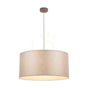Lampa suspendată Prata, 1xE27, Max. 60 W, metal gri / cablu din PVC transparent / abajur argintiu, Ø 50 cm small 1