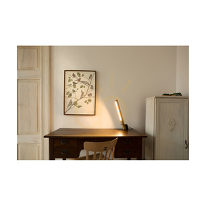 Lampa de masă Rapid, 1xLED, 3000K, 4,5W, stejar lustruit cu ulei/metal negru/cablu din PVC negru (23 cm) small 3