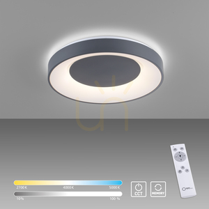 ANIKA 14326-18 Lampa de tavan, gri, 1xLED small 10