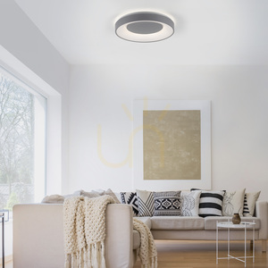 ANIKA 14326-18 Lampa de tavan, gri, 1xLED small 3