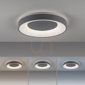 ANIKA 14326-18 Lampa de tavan, gri, 1xLED small 4