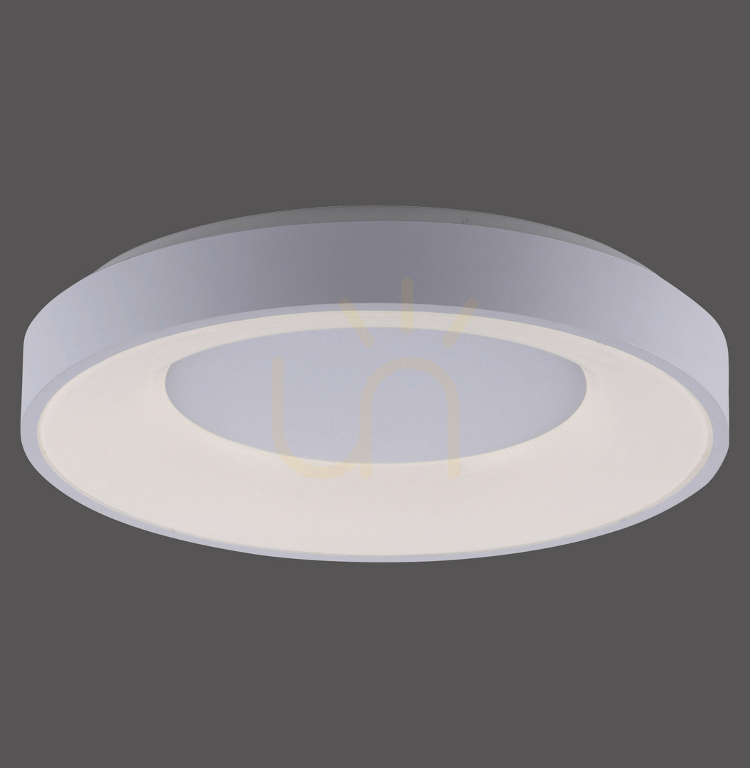 Verifica ANIKA 14326-16 Lampa de tavan albă, 1xLED ANIKA 14326-16 Lampa de tavan albă, 1xLED