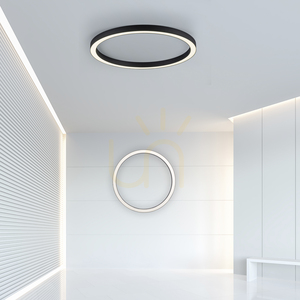 PURE-LINES 6306-13 Lampa suspendată cu 1 LED, culoare antracit small 2