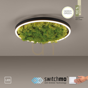 GREEN RITUS 15391-66 Lampa de tavan, bej, 1xLED small 11