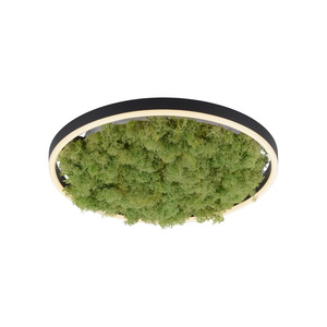 GREEN RITUS 15391-66 Lampa de tavan, bej, 1xLED small 16