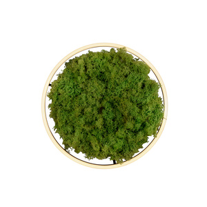 GREEN RITUS 15391-66 Lampa de tavan, bej, 1xLED small 17