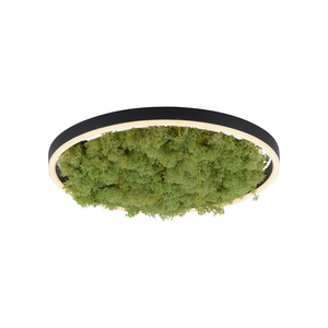 GREEN RITUS 15391-66 Lampa de tavan, bej, 1xLED small 6