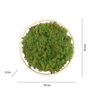 GREEN RITUS 15391-66 Lampa de tavan, bej, 1xLED small 7