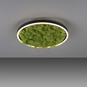 GREEN RITUS 15391-66 Lampa de tavan, bej, 1xLED small 9