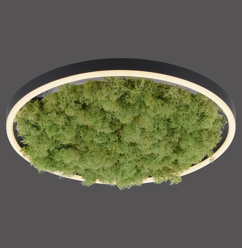 Verifica GREEN RITUS 15391-66 Lampa de tavan, bej, 1xLED