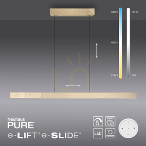 PURE-MOTO-RISE 2545-60 Auriu, lampă suspendată cu 3 LED-uri 14 PURE-MOTO-RISE 2545-60 Auriu, lampă suspendată cu 3 LED-uri small 14