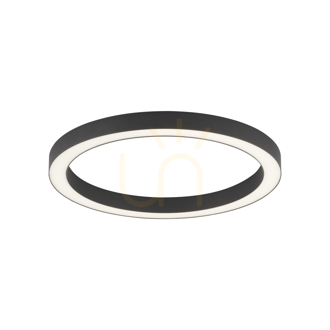 Vedere PURE-LINES 6309-13 Lampa de tavan, antracit, 1xLED PURE-LINES 6309-13 Lampa de tavan, antracit, 1xLED