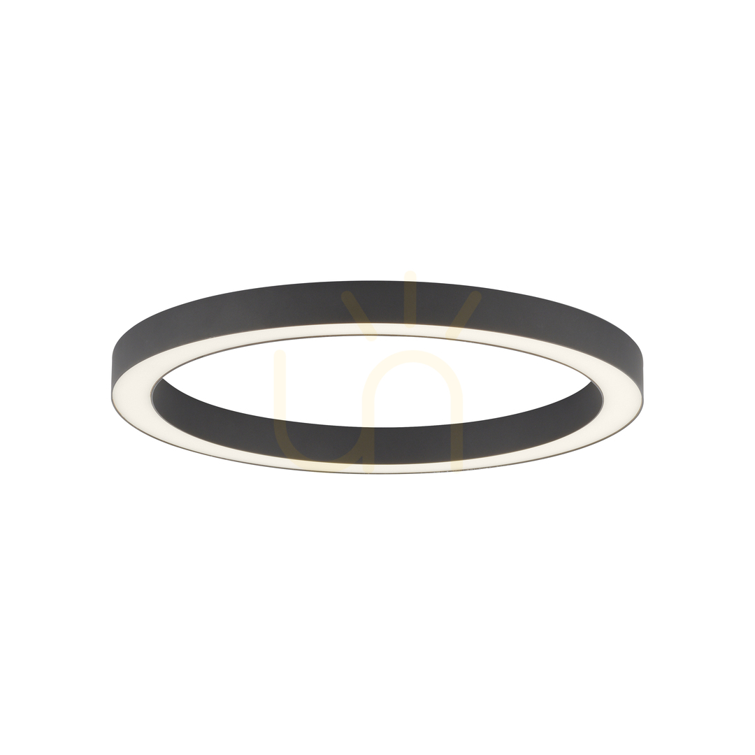 Verifica PURE-LINES 6309-13 Lampa de tavan, antracit, 1xLED PURE-LINES 6309-13 Lampa de tavan, antracit, 1xLED
