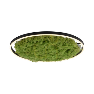 GREEN RITUS 15392-66 Lampa de tavan bej, 1xLED small 16