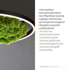 GREEN RITUS 15392-66 Lampa de tavan bej, 1xLED small 3