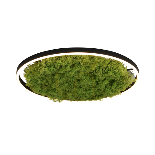 Verifica GREEN RITUS 15392-66 Lampa de tavan bej, 1xLED