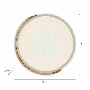 BILA 14288-16 Plafoniere negru, 1xLED small 17
