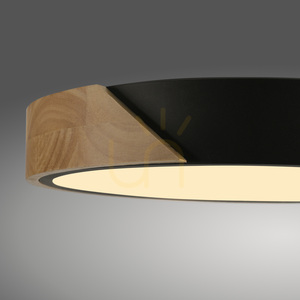BILA 14288-18 Lampa de tavan neagră, 1xLED small 9