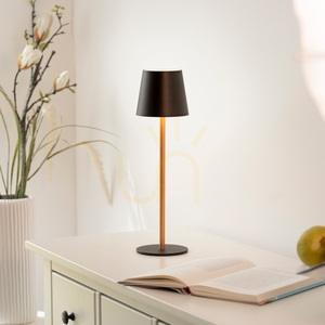 Lampa de masă EURIA 19250-68, negru, 1xLED small 13