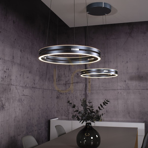 Lampă suspendată PURE E-LOOP 2550-15, gri, cu 2 LED-uri 16 Lampă suspendată PURE E-LOOP 2550-15, gri, cu 2 LED-uri small 16