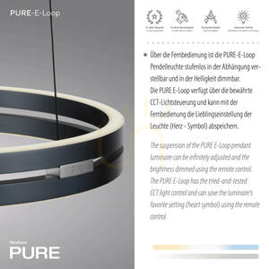 Lampă suspendată PURE E-LOOP 2550-15, gri, cu 2 LED-uri 4 Lampă suspendată PURE E-LOOP 2550-15, gri, cu 2 LED-uri small 4