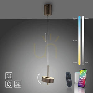 Q-ROTATE 2247-34 Maro, lampă suspendată cu 1 LED small 10