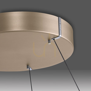 Lampa suspendată PURE E-LOOP 2550-60 din alamă cu 2 LED-uri small 10