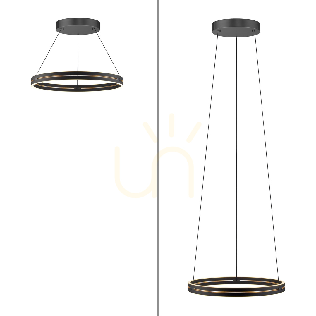 Vedere Lampă suspendată PURE E-LOOP 2551-18, negru, cu 2 LED-uri Lampă suspendată PURE E-LOOP 2551-18, negru, cu 2 LED-uri
