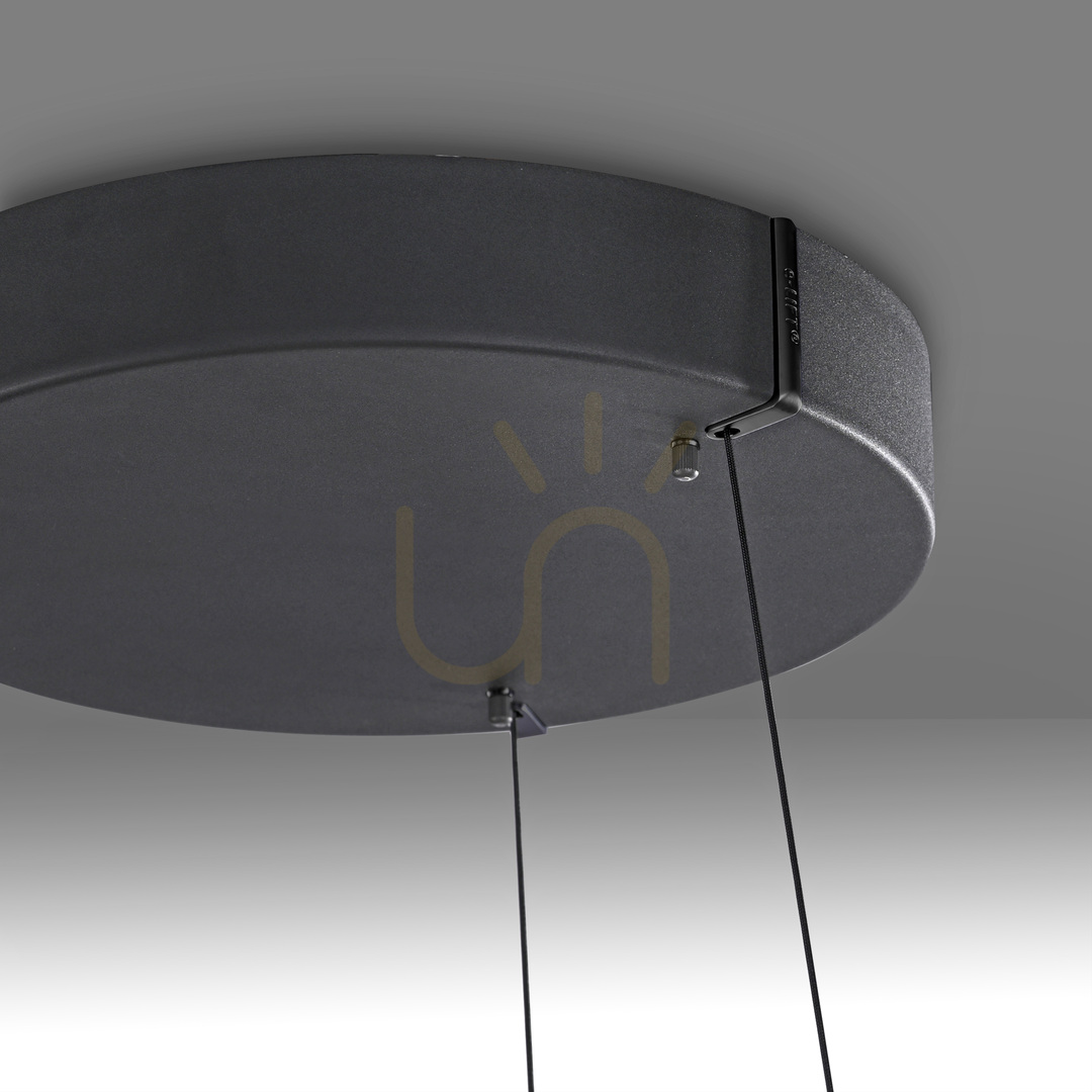 Afişa Lampă suspendată PURE E-LOOP 2551-18, negru, cu 2 LED-uri Lampă suspendată PURE E-LOOP 2551-18, negru, cu 2 LED-uri