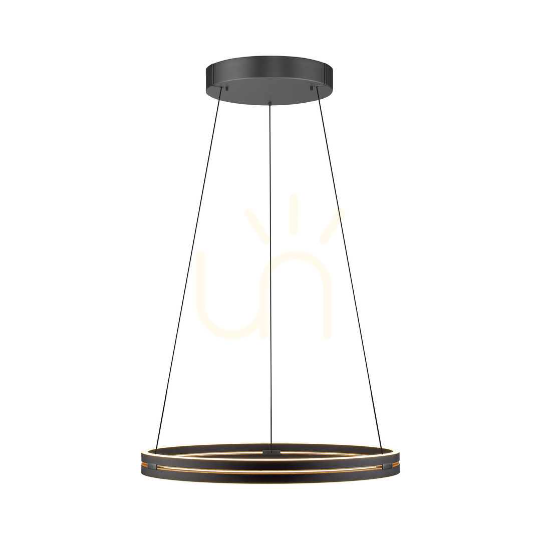Vedere Lampă suspendată PURE E-LOOP 2551-18, negru, cu 2 LED-uri Lampă suspendată PURE E-LOOP 2551-18, negru, cu 2 LED-uri
