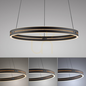 Lampă suspendată PURE E-LOOP 2551-18, negru, cu 2 LED-uri 5 Lampă suspendată PURE E-LOOP 2551-18, negru, cu 2 LED-uri small 5