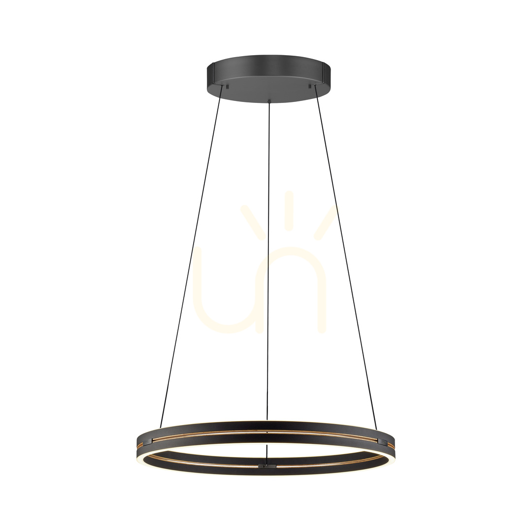 previzualizare Lampă suspendată PURE E-LOOP 2551-18, negru, cu 2 LED-uri Lampă suspendată PURE E-LOOP 2551-18, negru, cu 2 LED-uri