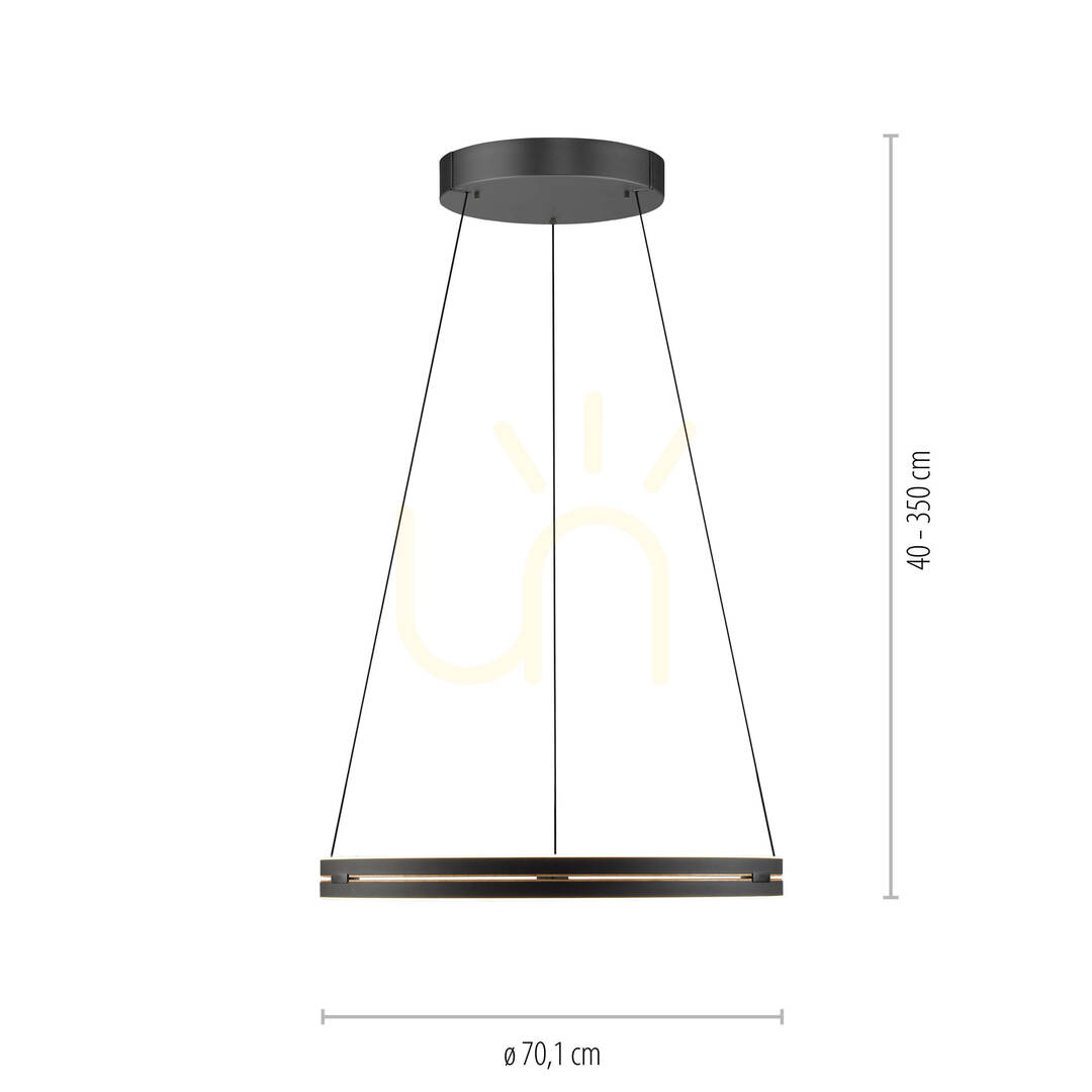 Afişa Lampă suspendată PURE E-LOOP 2551-18, negru, cu 2 LED-uri Lampă suspendată PURE E-LOOP 2551-18, negru, cu 2 LED-uri