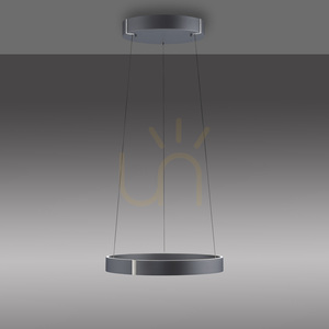 PURE E-CLIPSE 2560-15 Gri 2xLED Lampă suspendată 11 PURE E-CLIPSE 2560-15 Gri 2xLED Lampă suspendată small 11