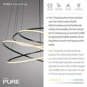 PURE E-FLYING RINGS 2566-15 Gri 1xLED Lampă suspendată small 4
