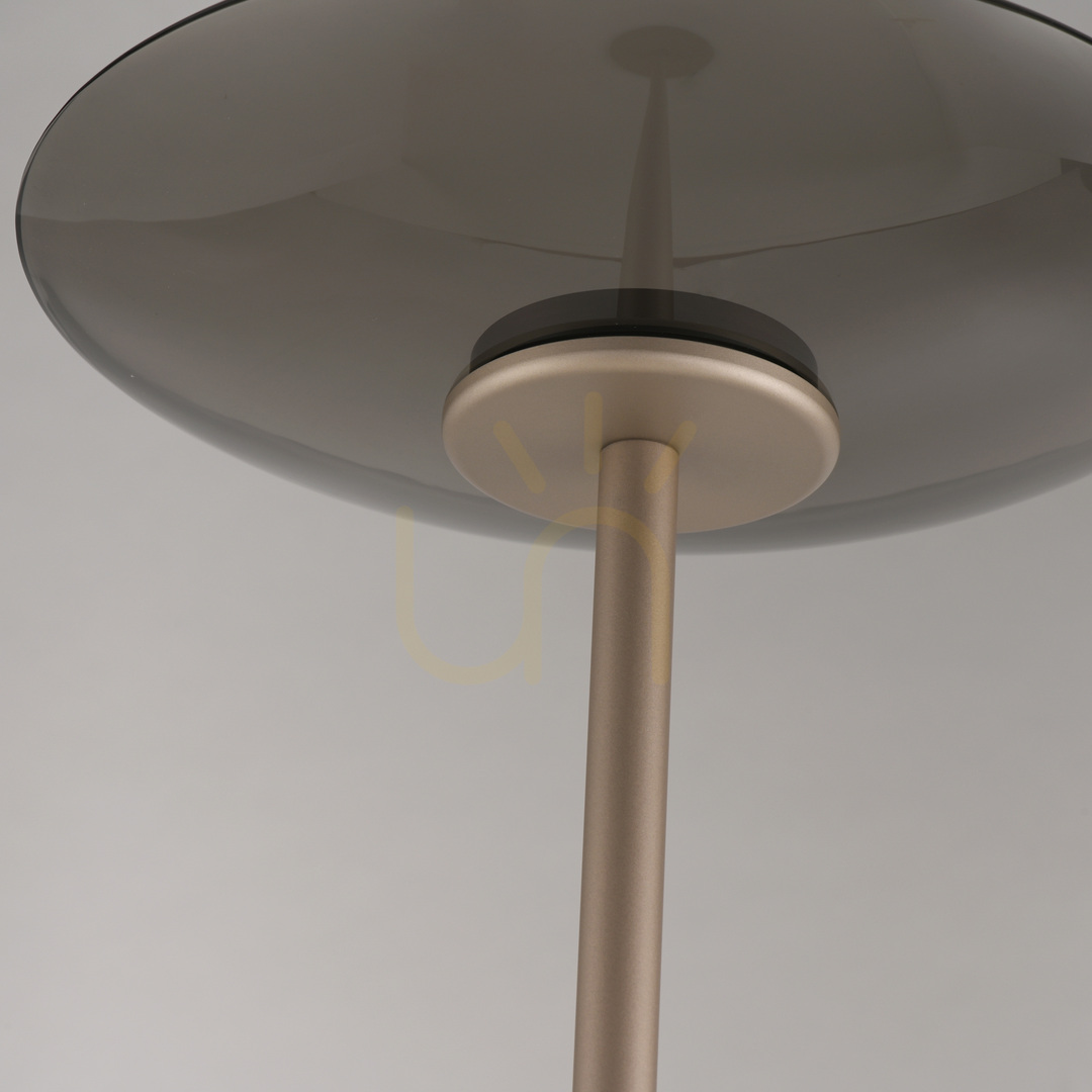 Vedere Lampa de podea PURE MOON 594-97, maro, 2xLED Lampa de podea PURE MOON 594-97, maro, 2xLED