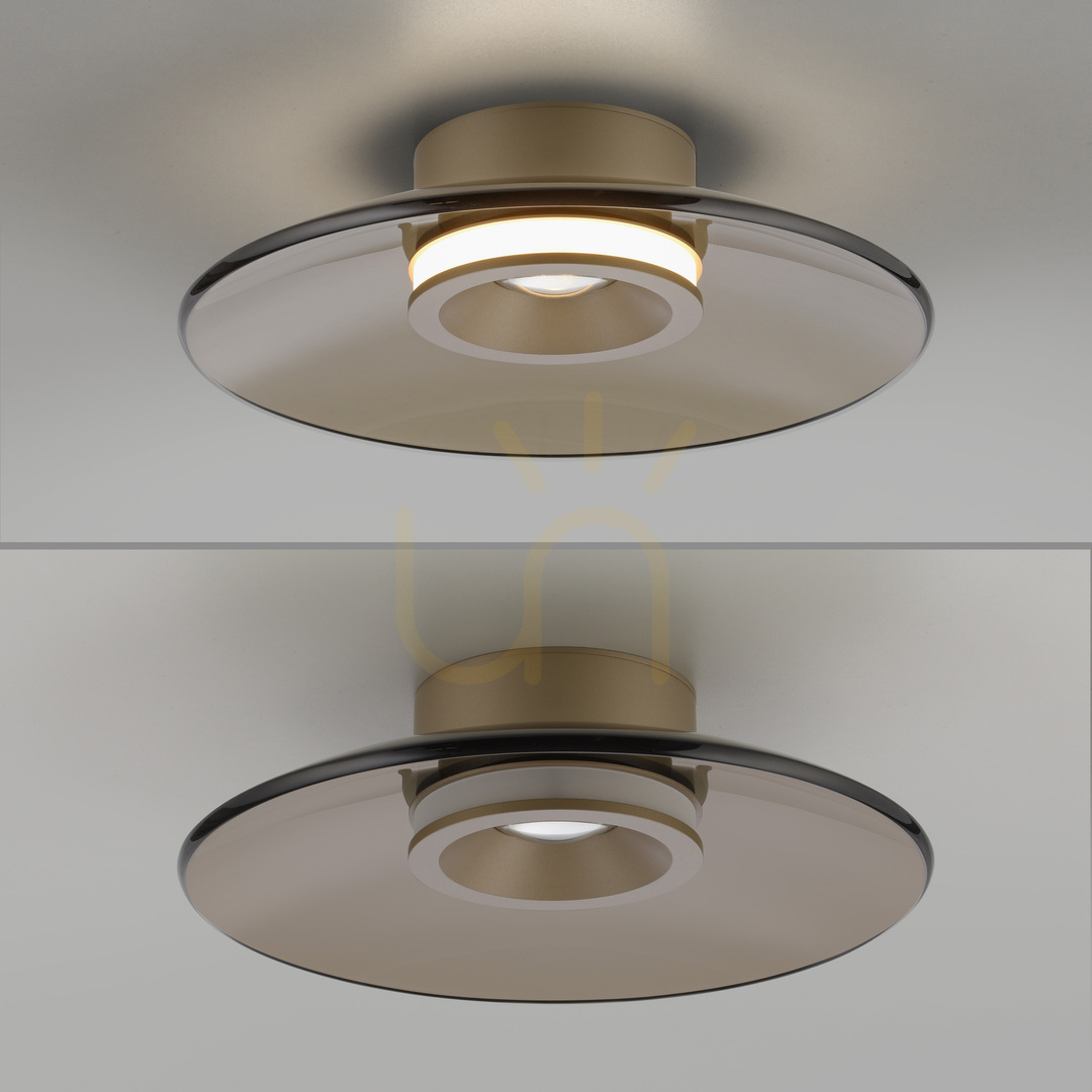 previzualizare PURE MOON 6094-97 Lampa de tavan maro, 2xLED PURE MOON 6094-97 Lampa de tavan maro, 2xLED
